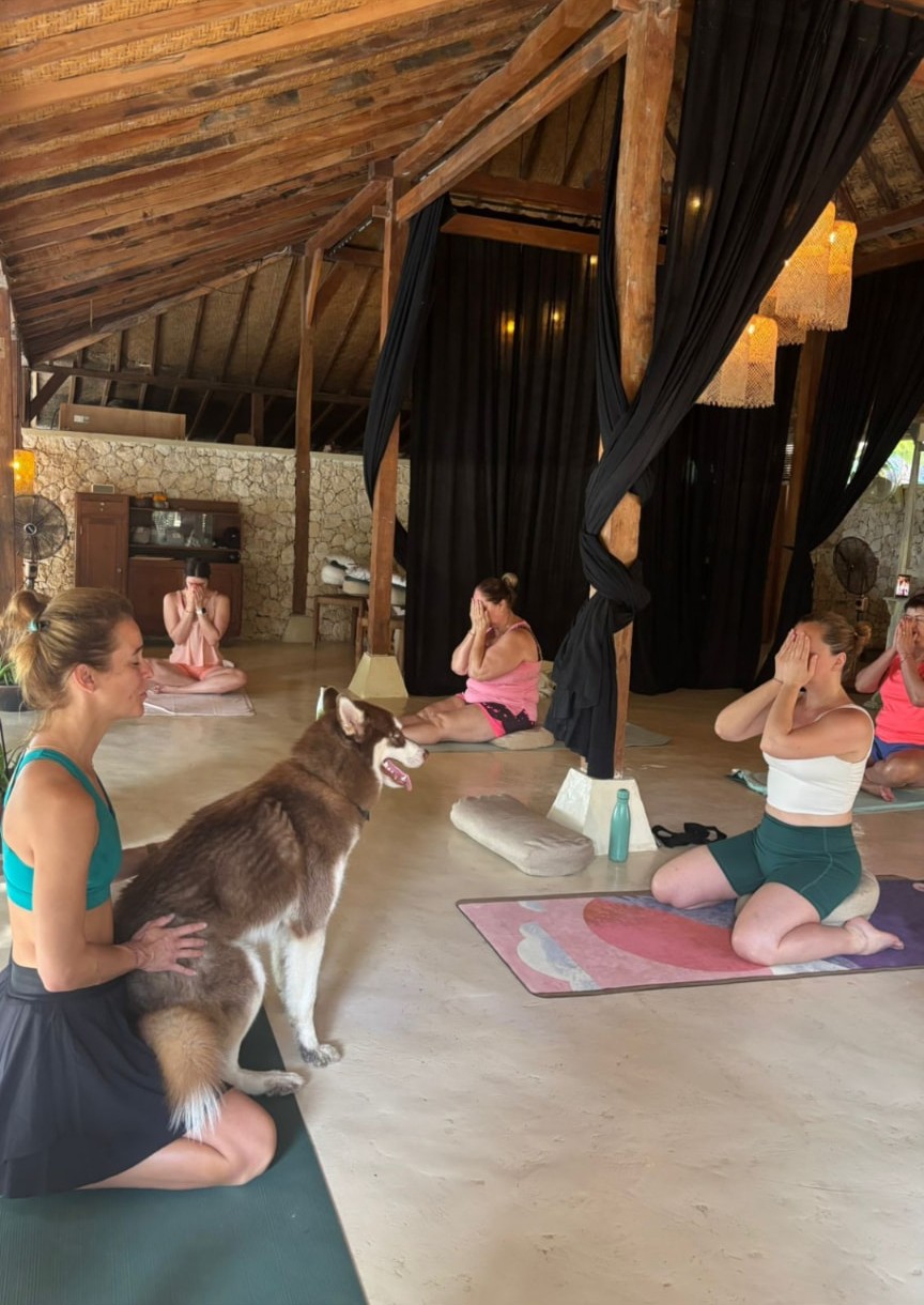Photo from a yoga retreat — shared practice and rest in nature (1)